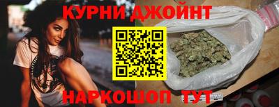 мяу мяу мука Гатчина