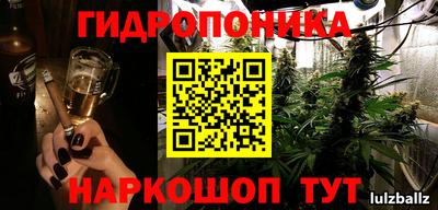 мяу мяу мука Гатчина